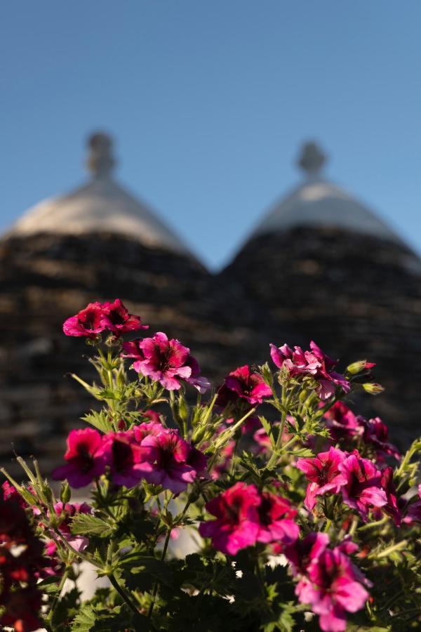 Trulli Ulivi Putignano Exterior foto