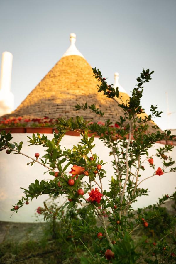 Trulli Ulivi Putignano Exterior foto